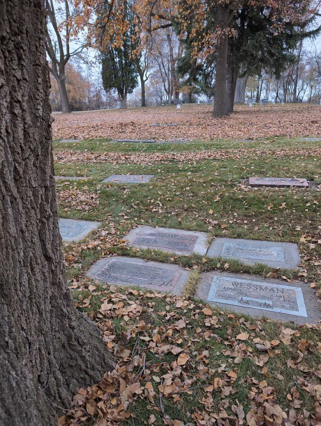 Vann Dorne Camp's grave. Photo 2