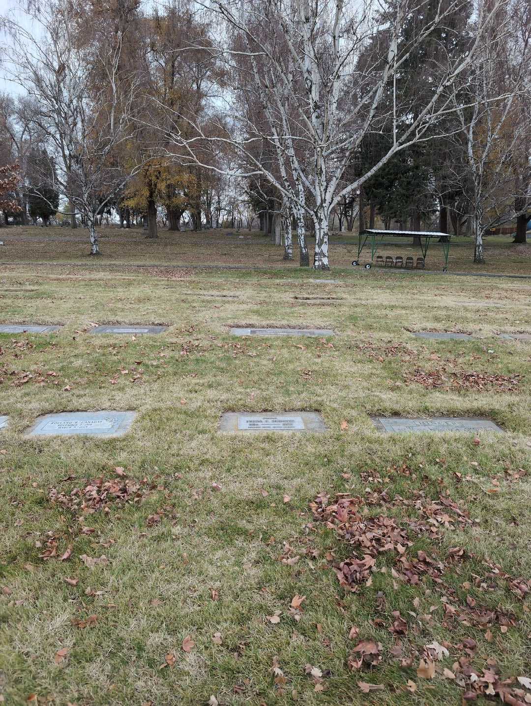 Freda F. Schultz's grave. Photo 2