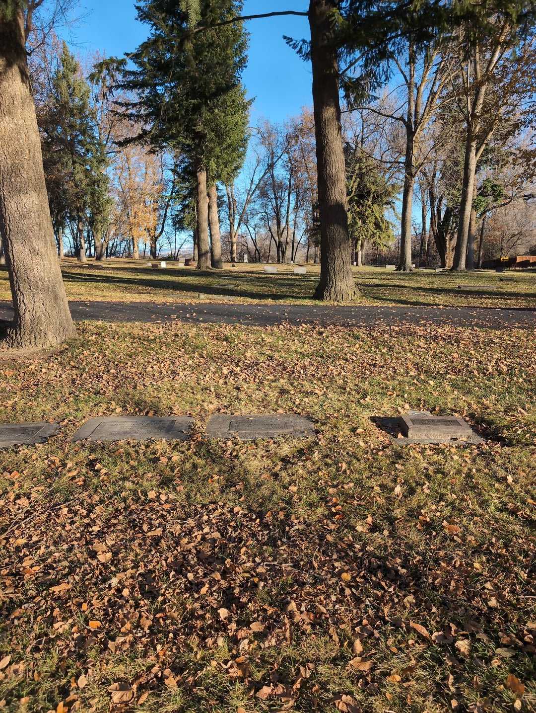 Samuel Bert Darnall's grave. Photo 2
