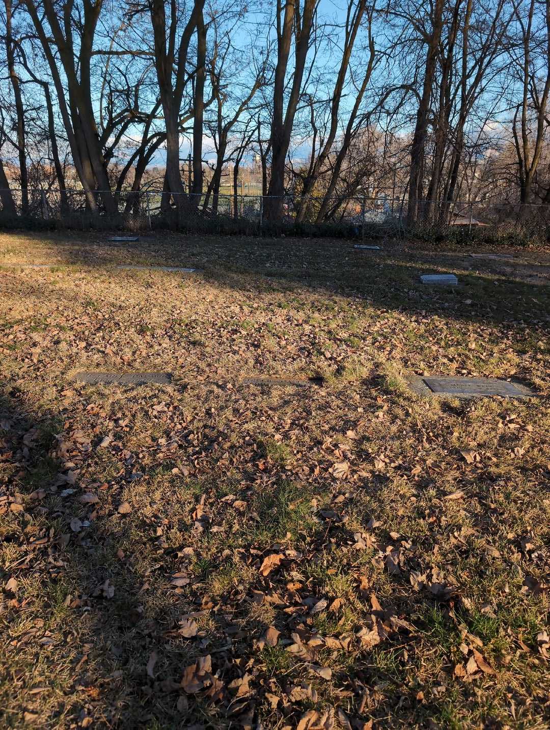 Lillie M. Paulson's grave. Photo 2