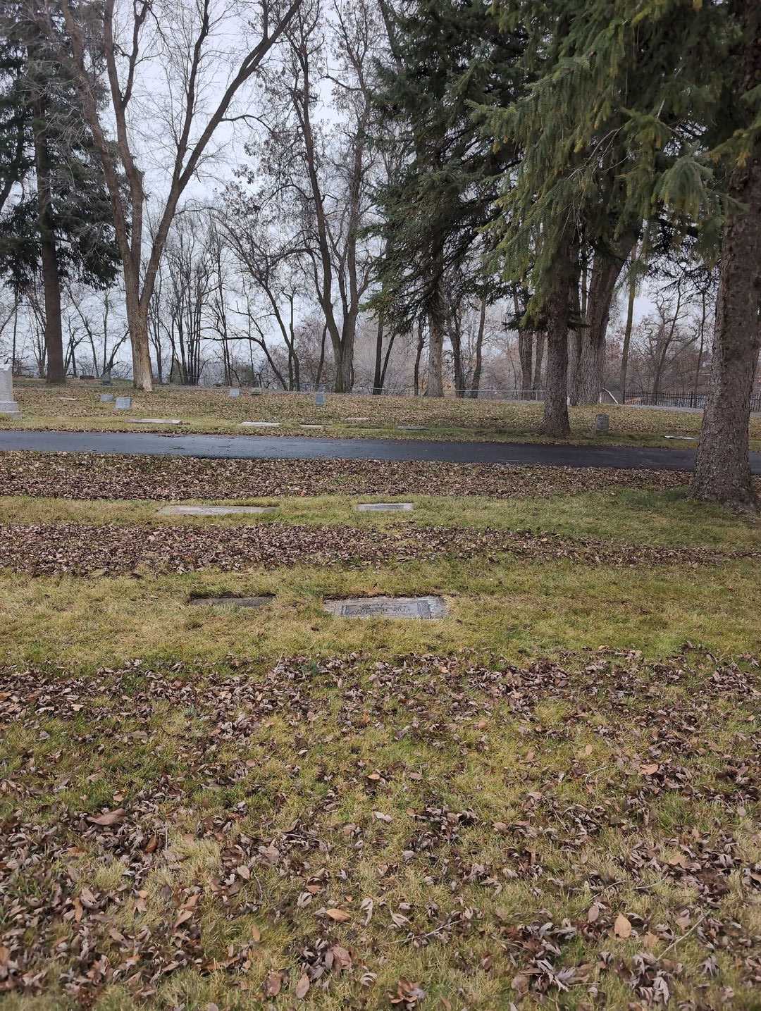 Aldena H. Wills's grave. Photo 2