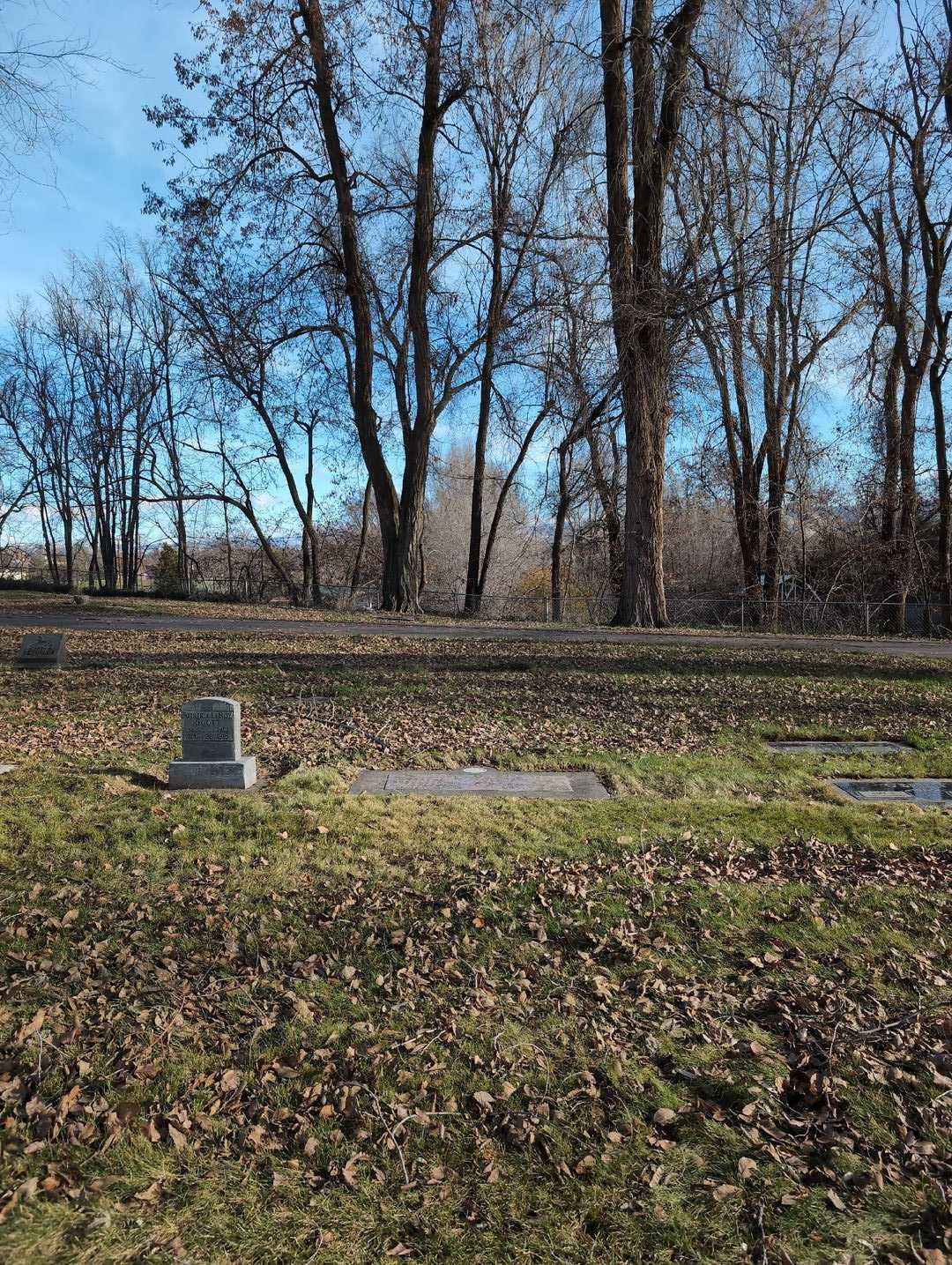 Halvard J. Thomsen's grave. Photo 2