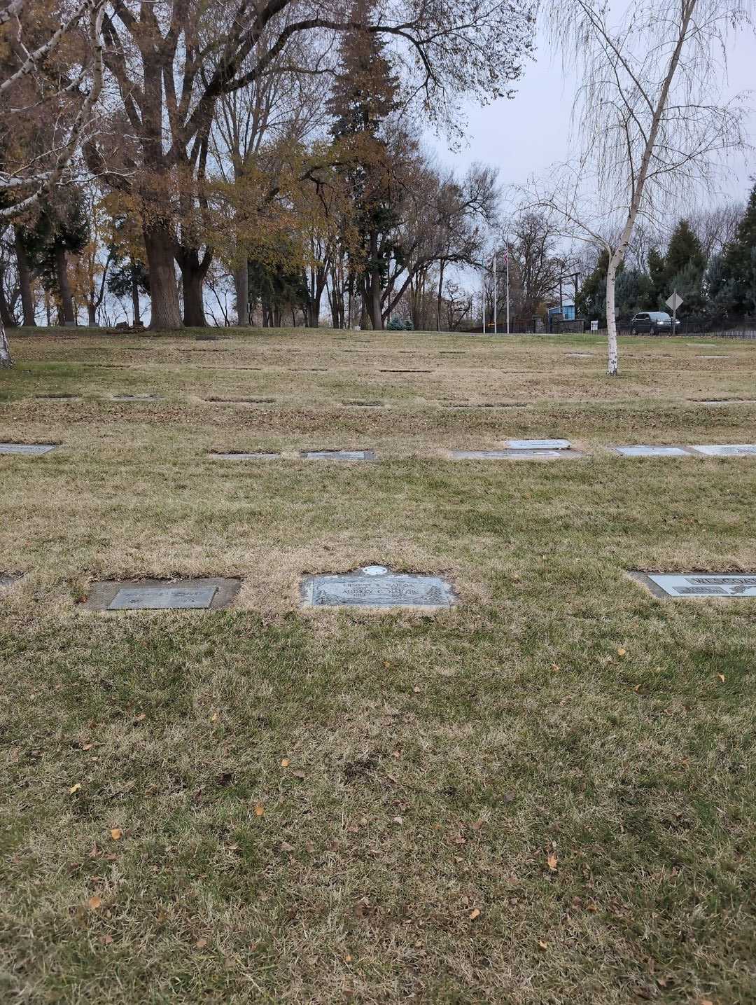 Ernest R. Nailor's grave. Photo 2