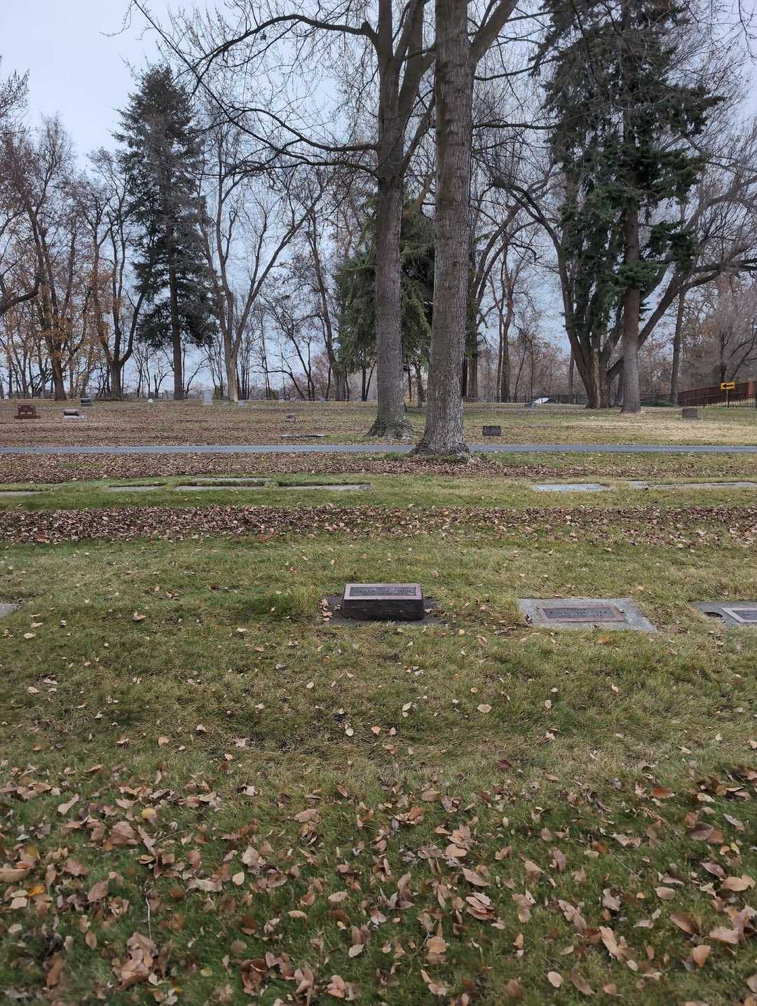 Julia Haffner's grave. Photo 2