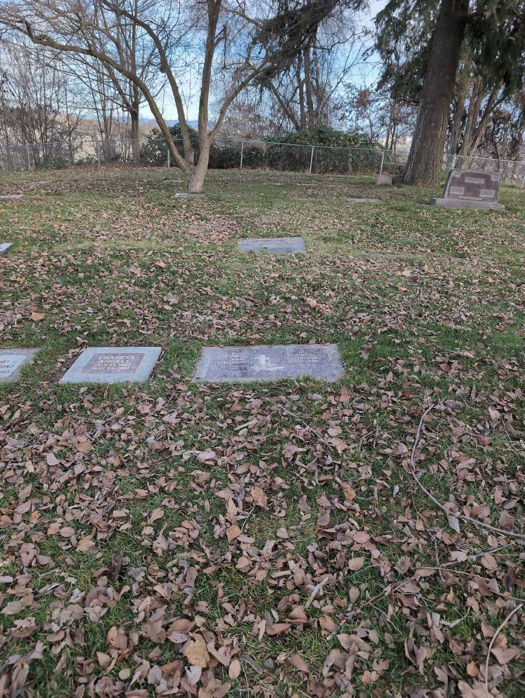 Micheal Raymond Wardrip's grave. Photo 2