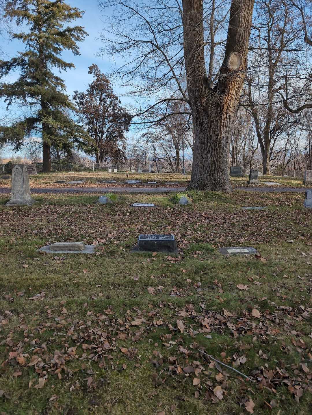 Nellie Martin Ochs's grave. Photo 2