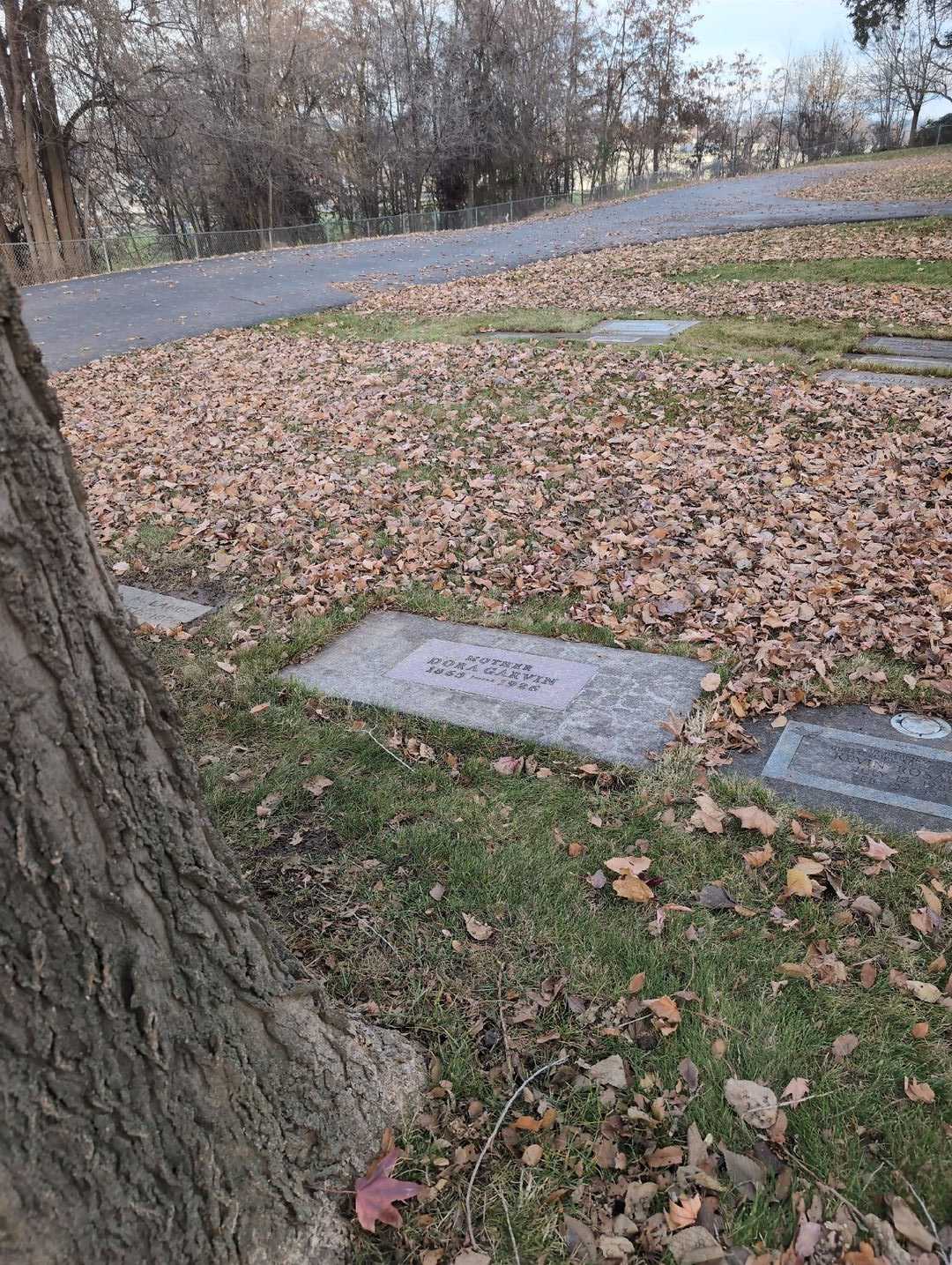 Dora Garvin's grave. Photo 4