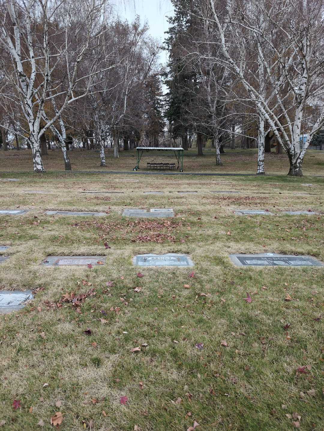Anita M. Brunt's grave. Photo 2