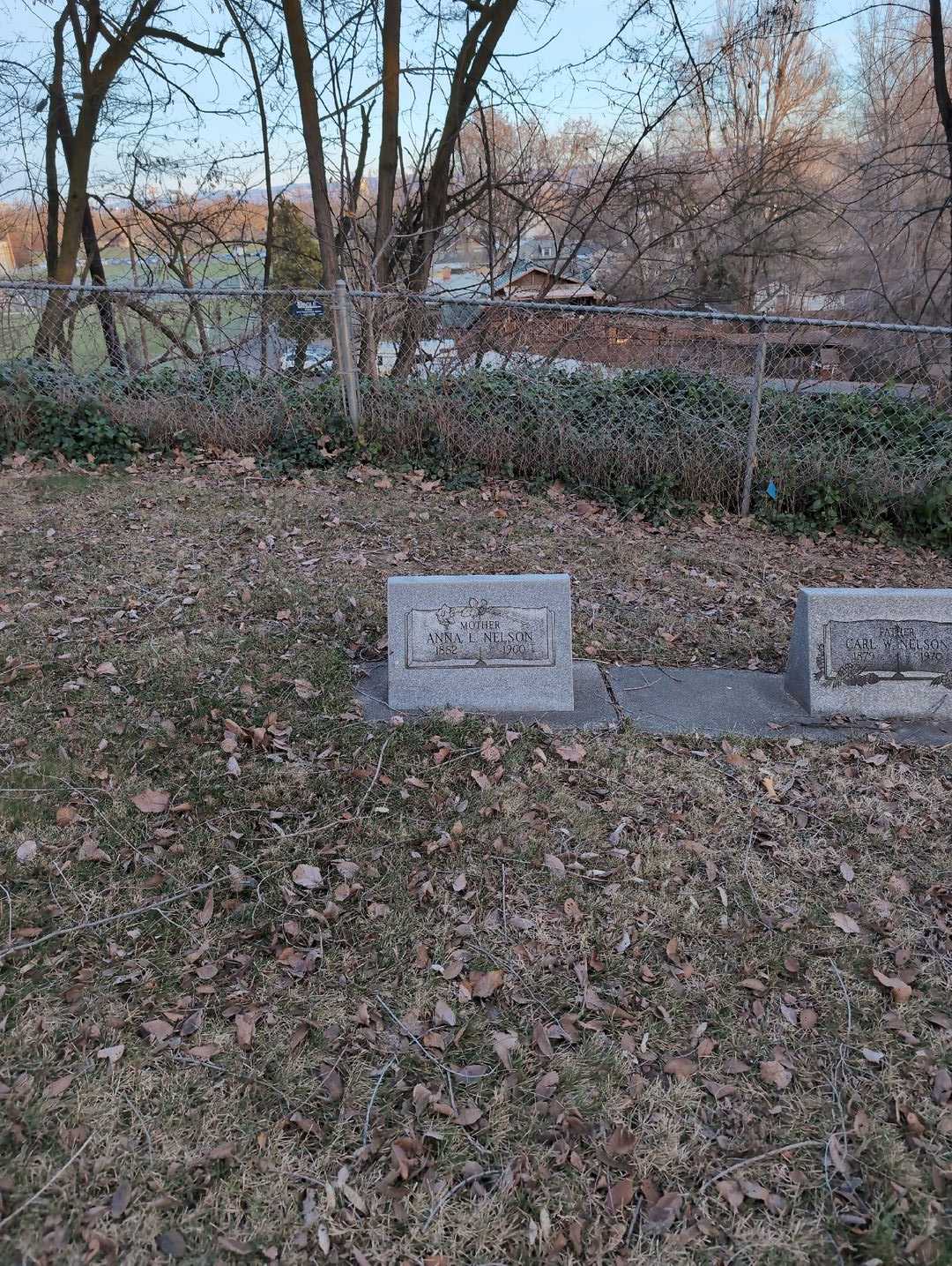 Anna L. Nelson's grave. Photo 2