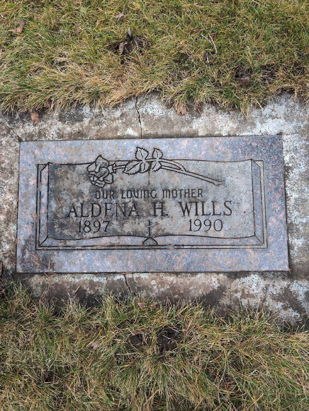 Aldena H. Wills's grave. Photo 3