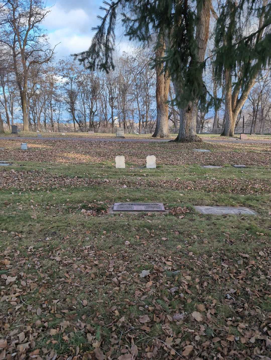 Charles Herbert Eastwood's grave. Photo 2