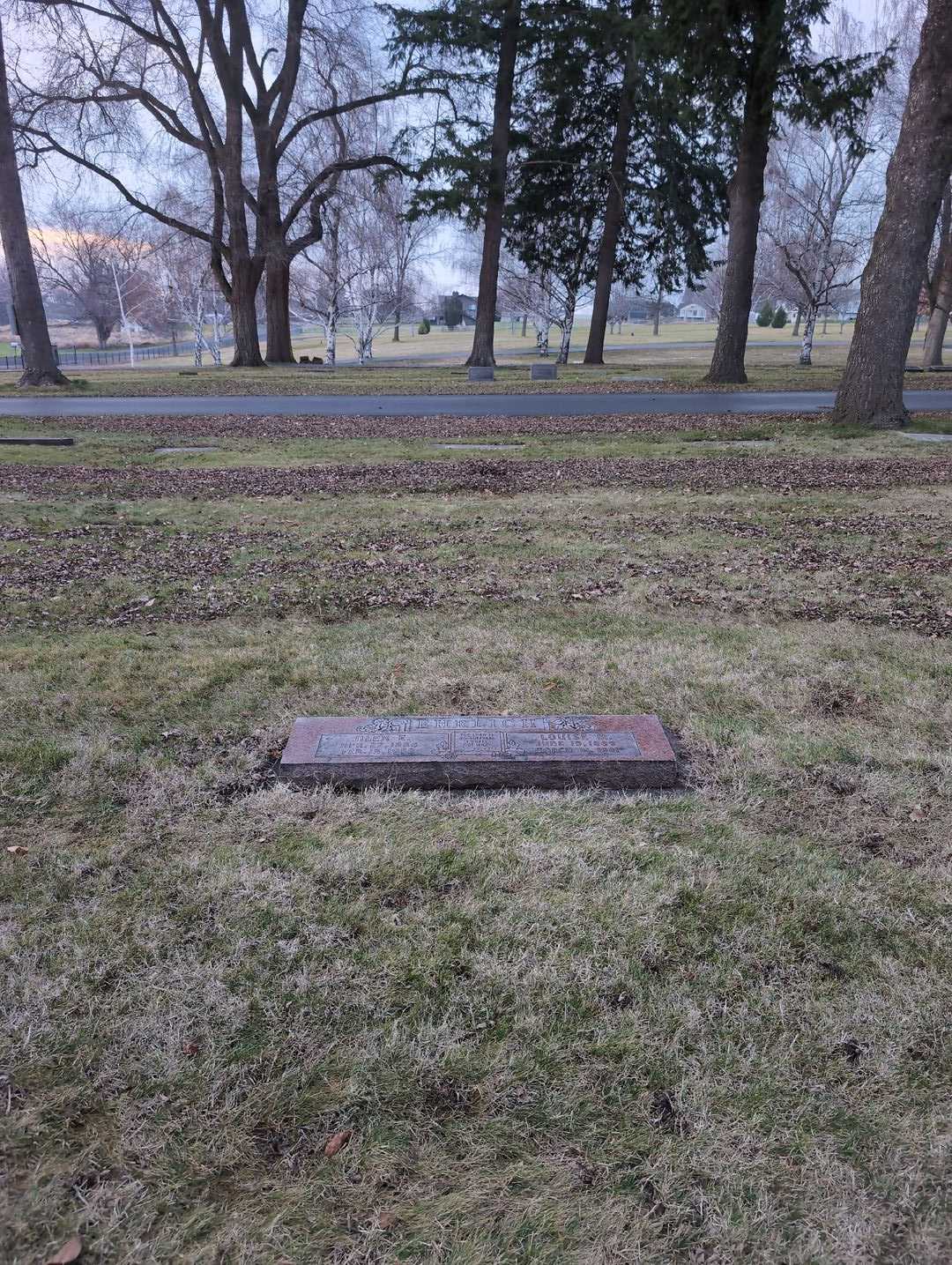 Alex E. Ehrlich's grave. Photo 2
