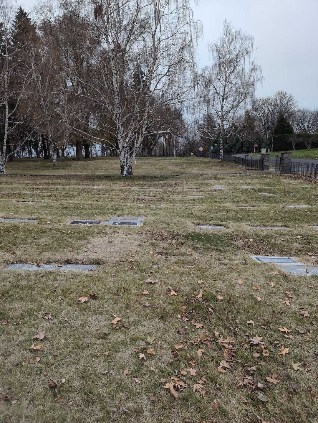 Winifred "Freddy" Kivett's grave. Photo 2