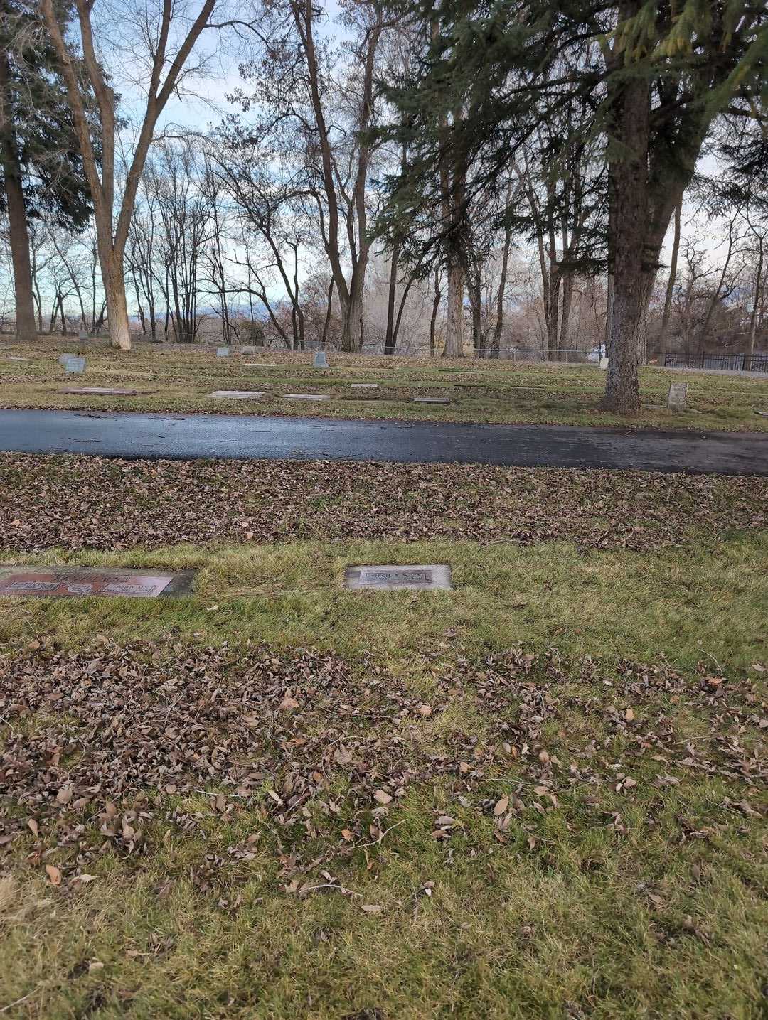 Aldena H. Wills's grave. Photo 4