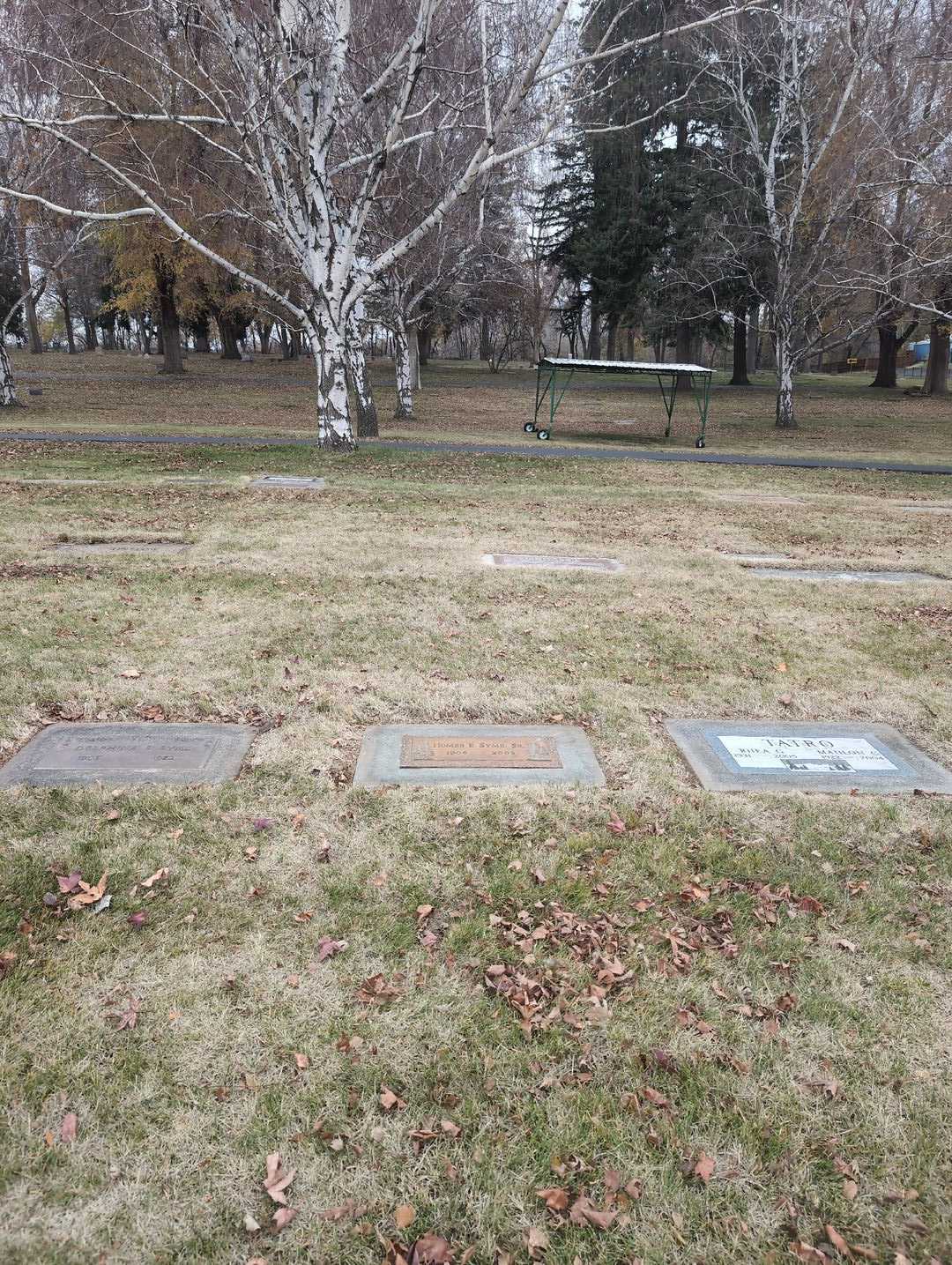 Homer E. Syme Senior's grave. Photo 2
