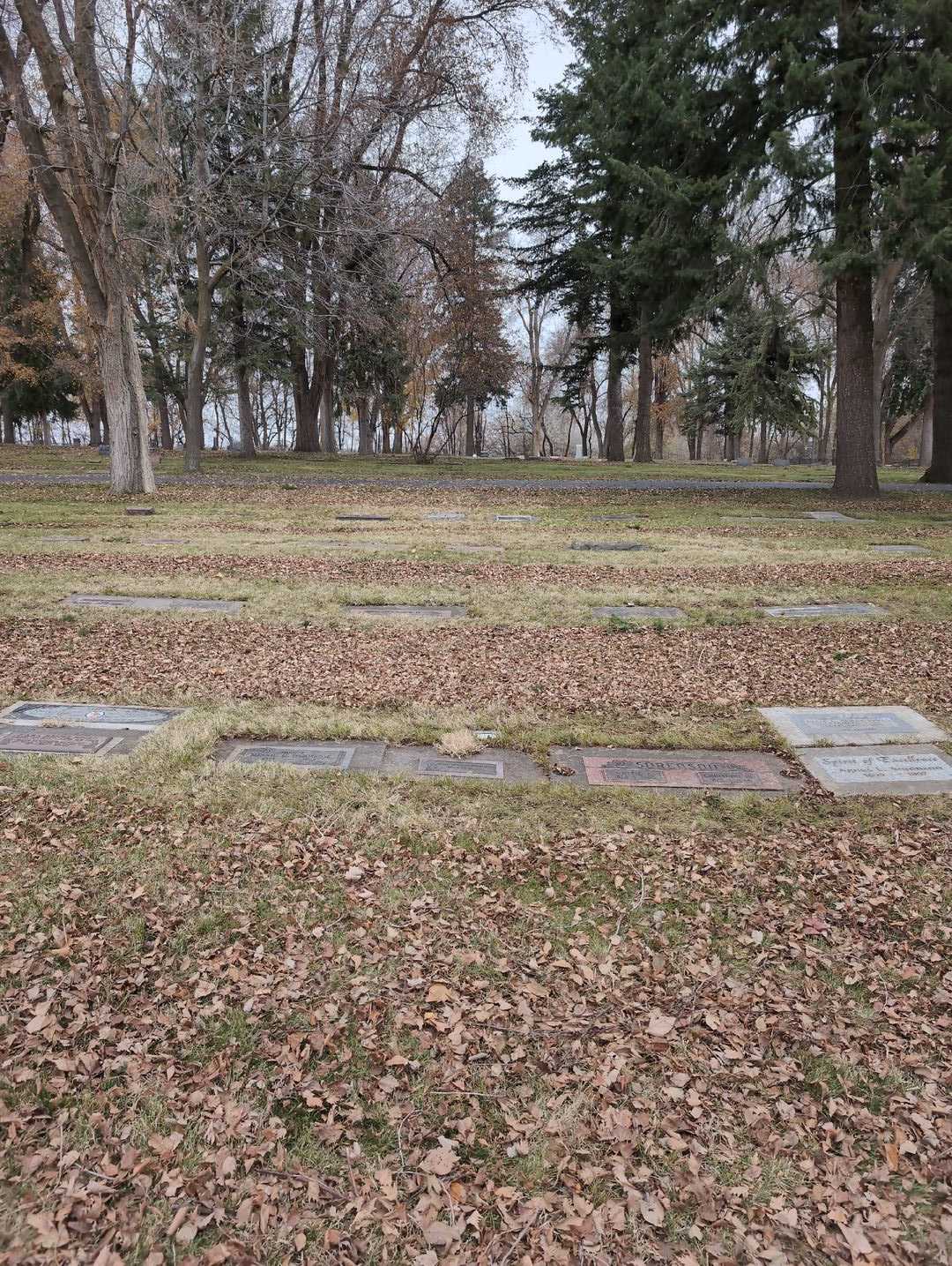 Morgan James Dammrose's grave. Photo 4