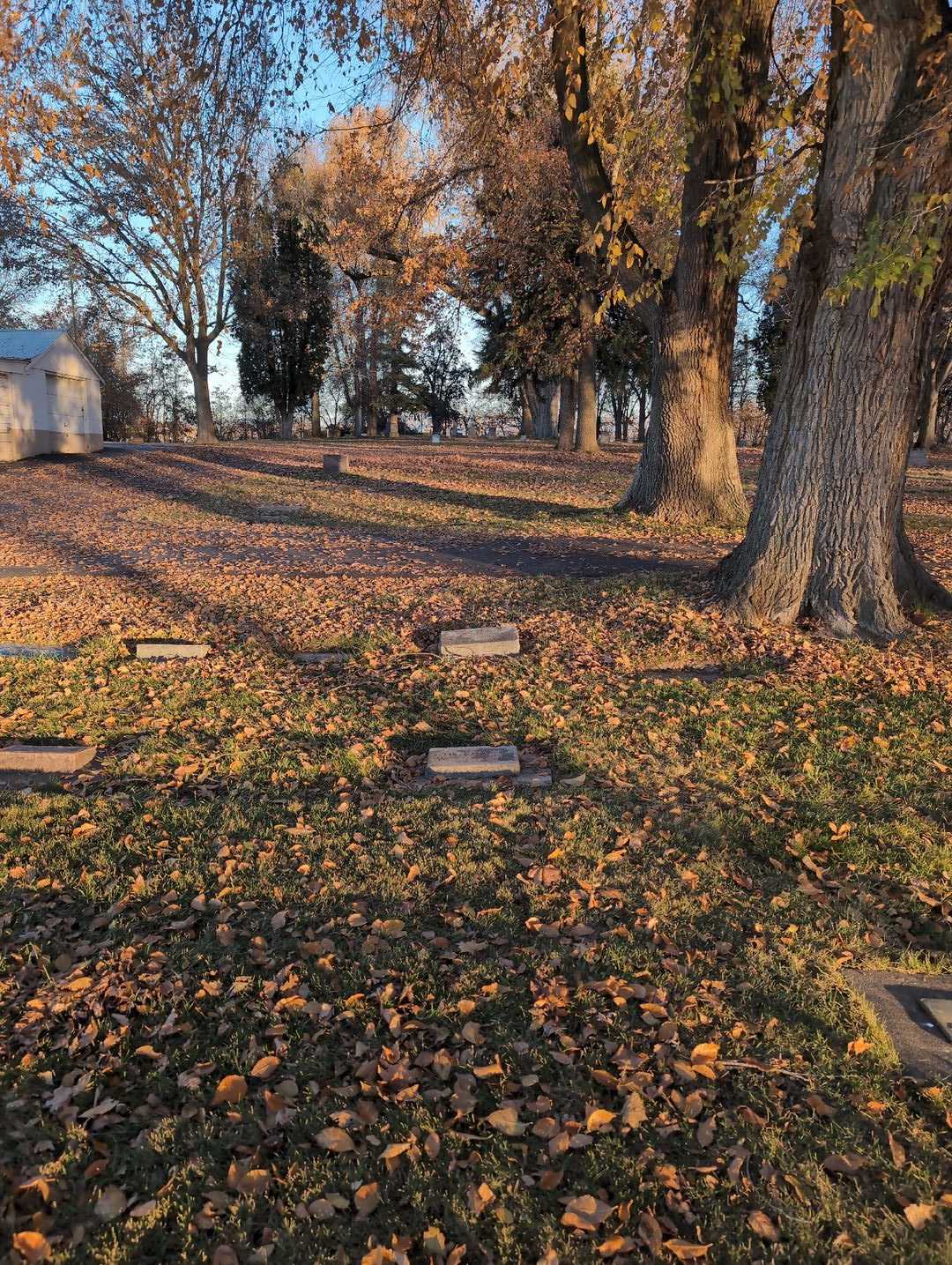 Jodie L. Erickson's grave. Photo 2