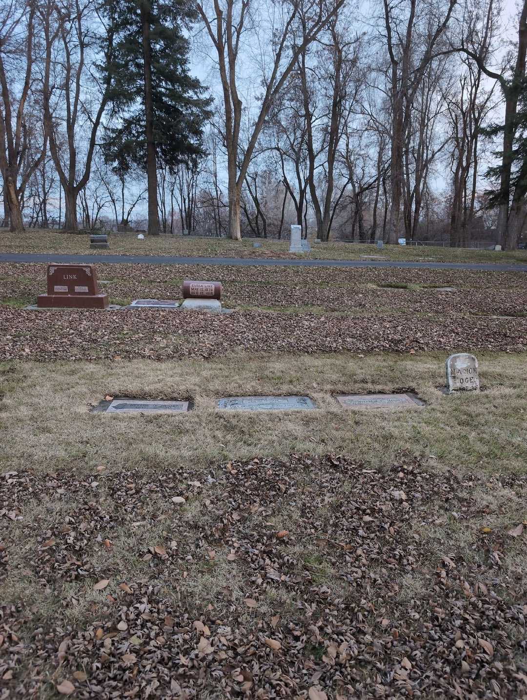 Vera Gallentine's grave. Photo 4