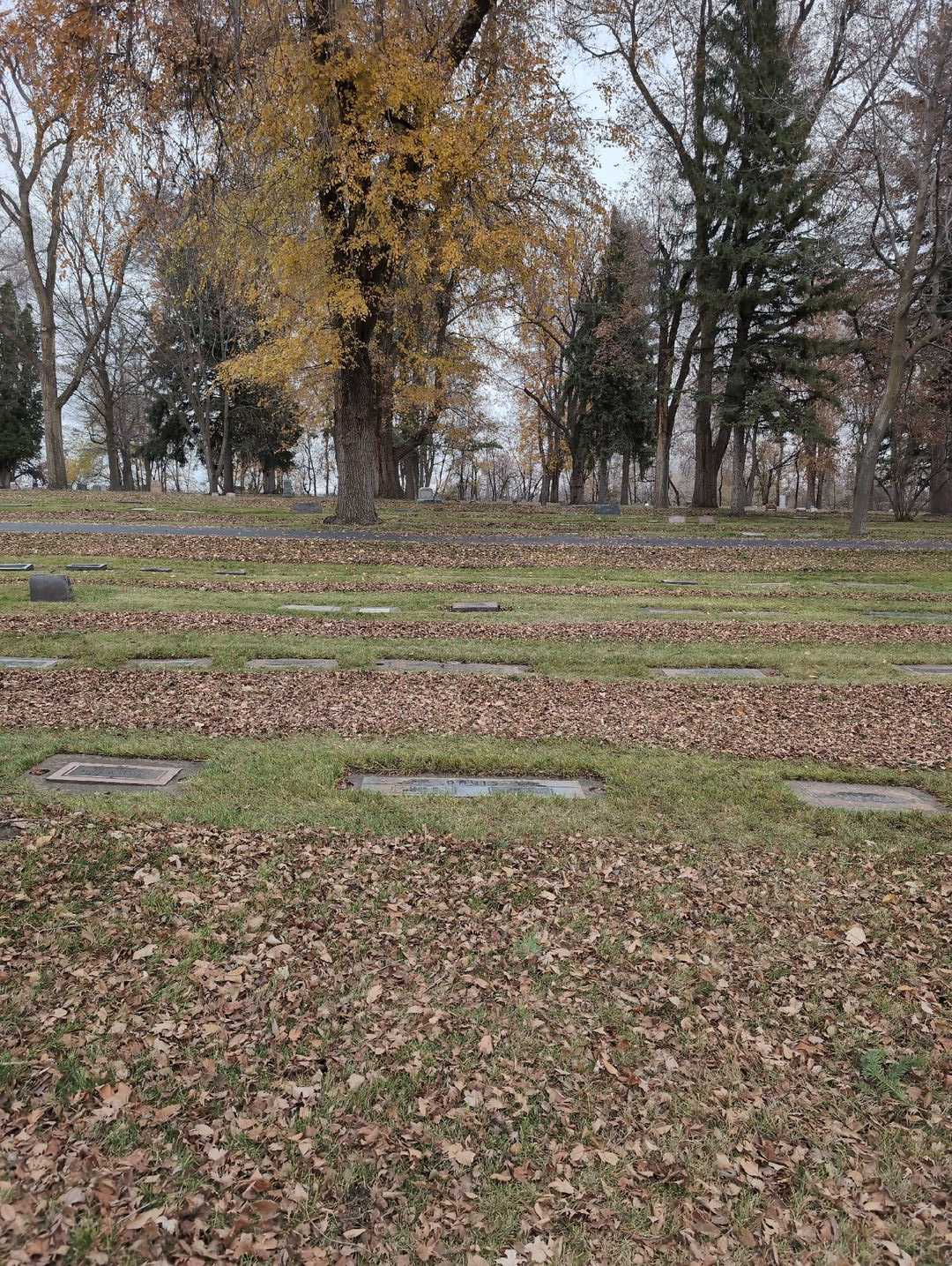 Lee Sherman Davis's grave. Photo 2