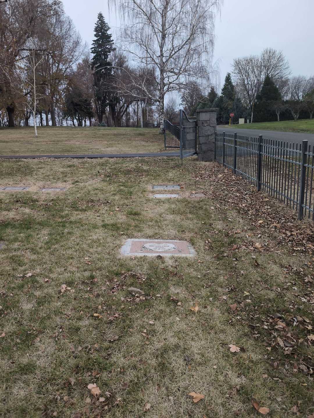 Brenda Lane White's grave. Photo 2
