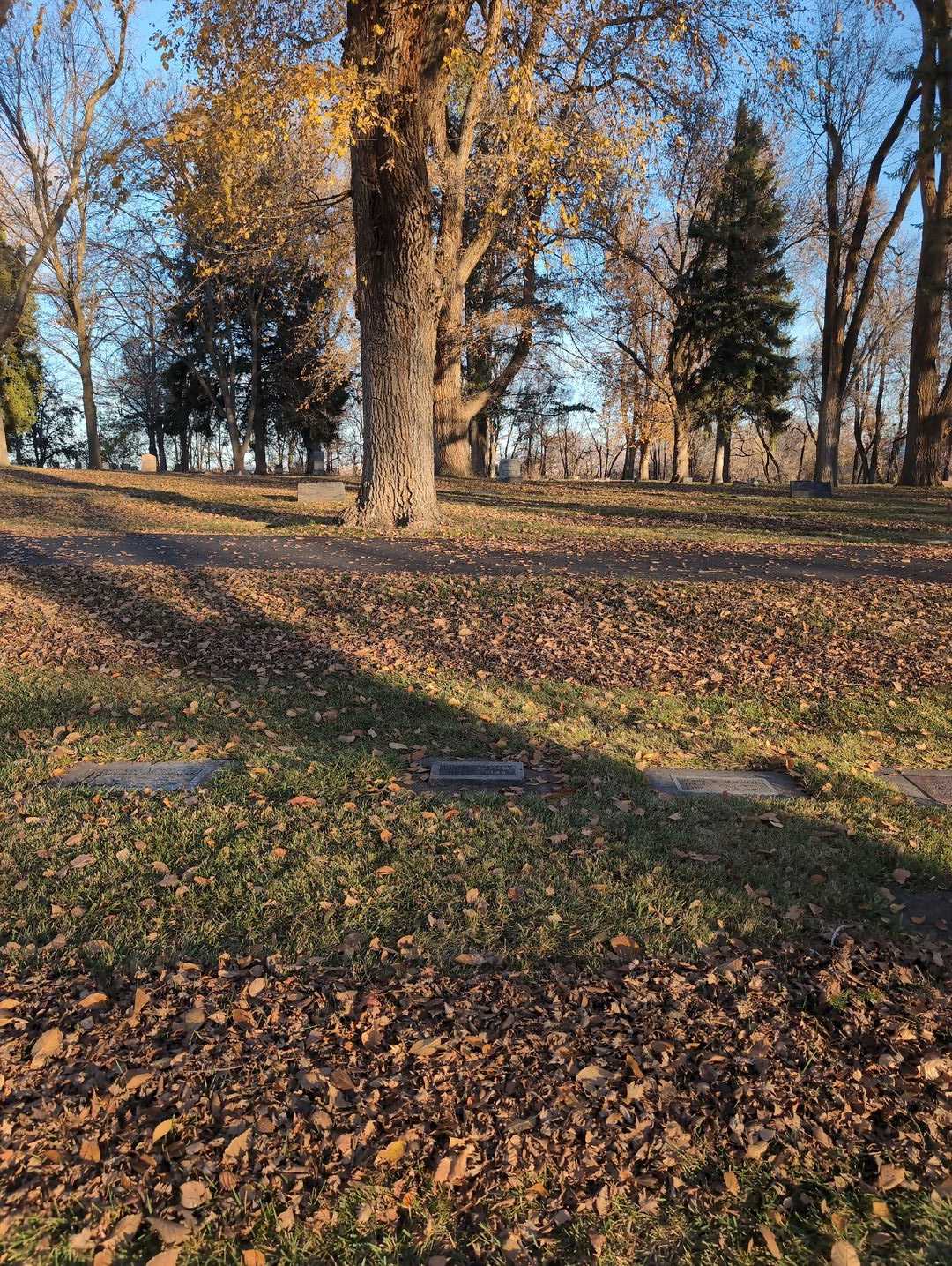 Bert Samples's grave. Photo 2
