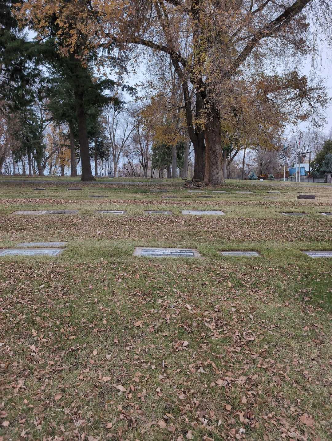 Mabel Jacobson Jones's grave. Photo 2