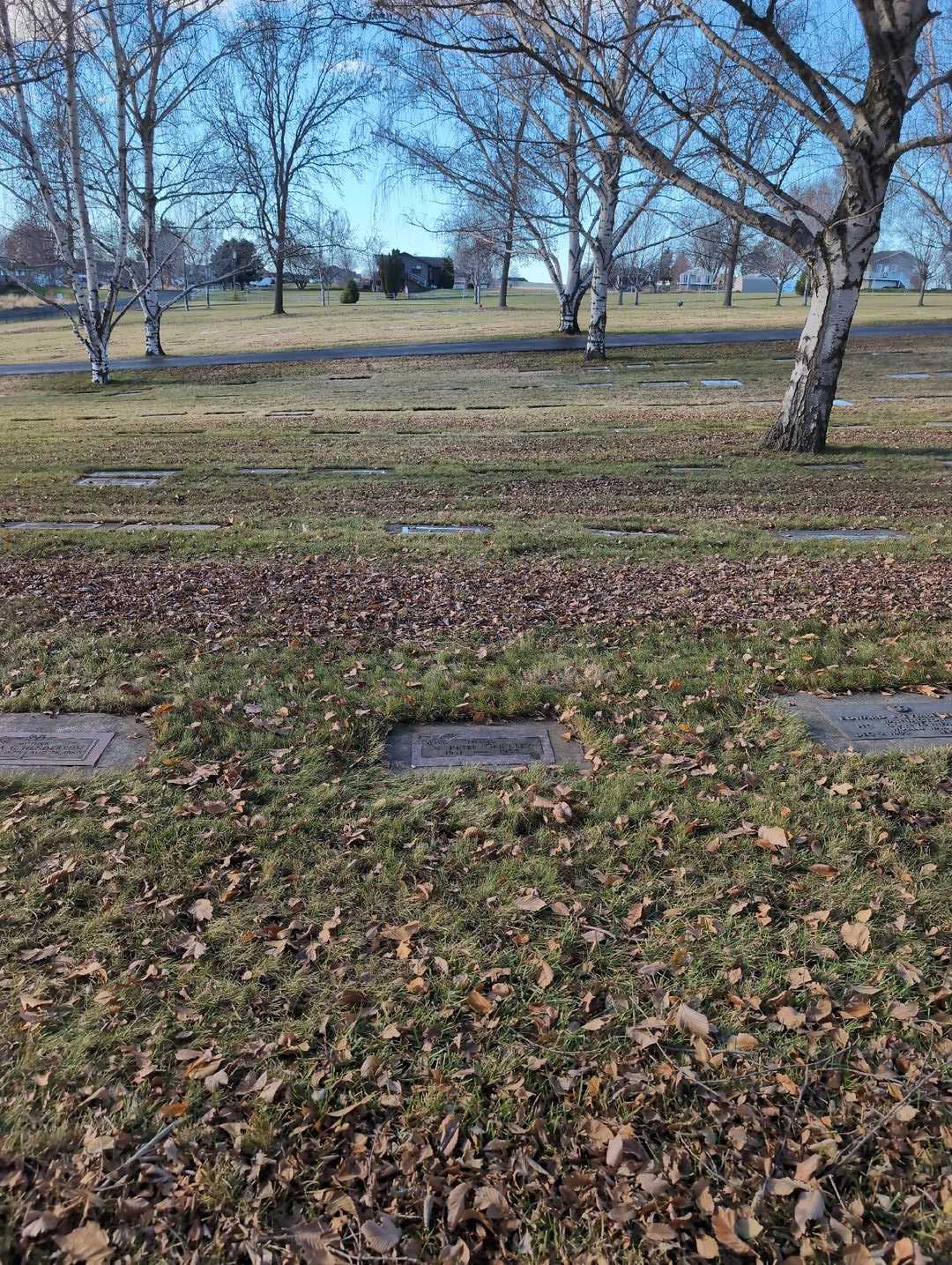 V. Peter Grindley's grave. Photo 2
