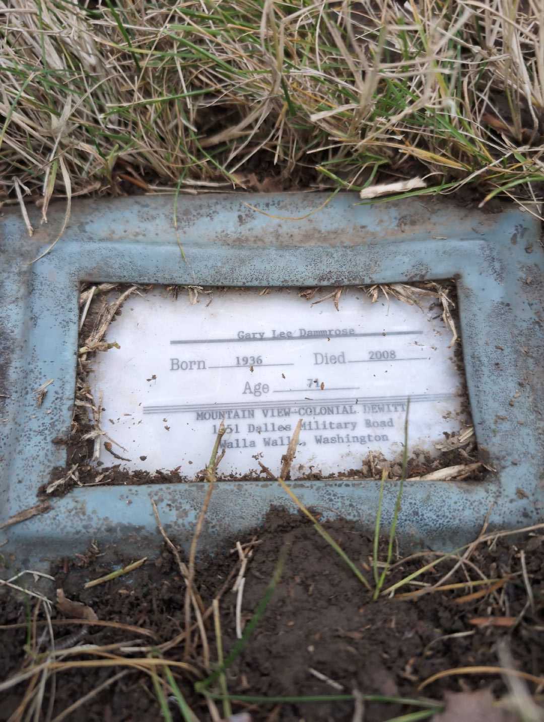 Morgan James Dammrose's grave. Photo 5