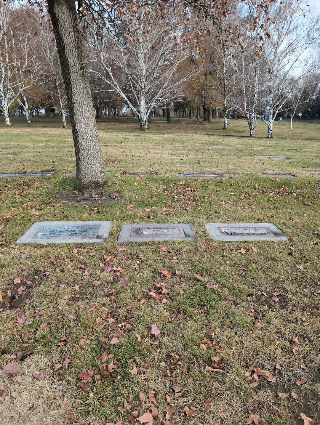 E. Jane Perry's grave. Photo 2