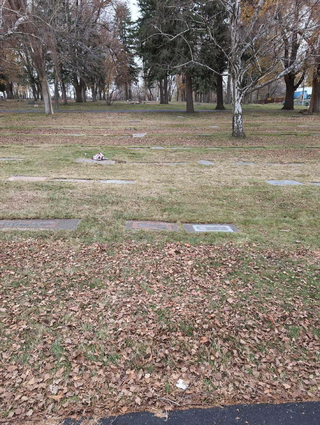 Dolly Eleanor Alkire's grave. Photo 2