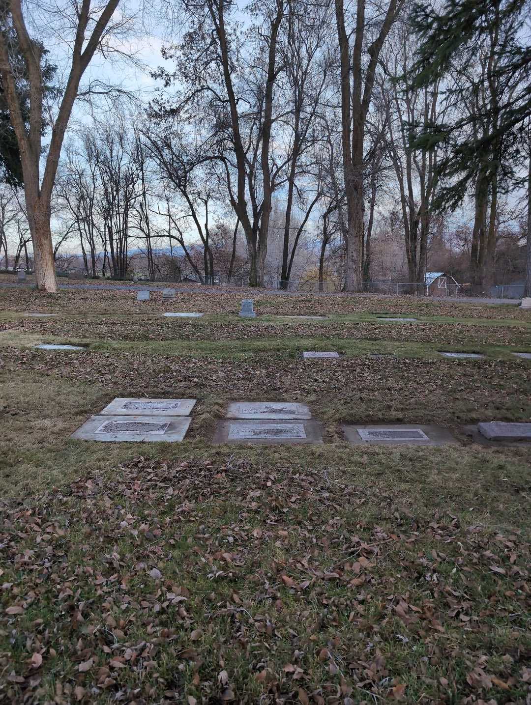 Willis M. Pflugrad's grave. Photo 2
