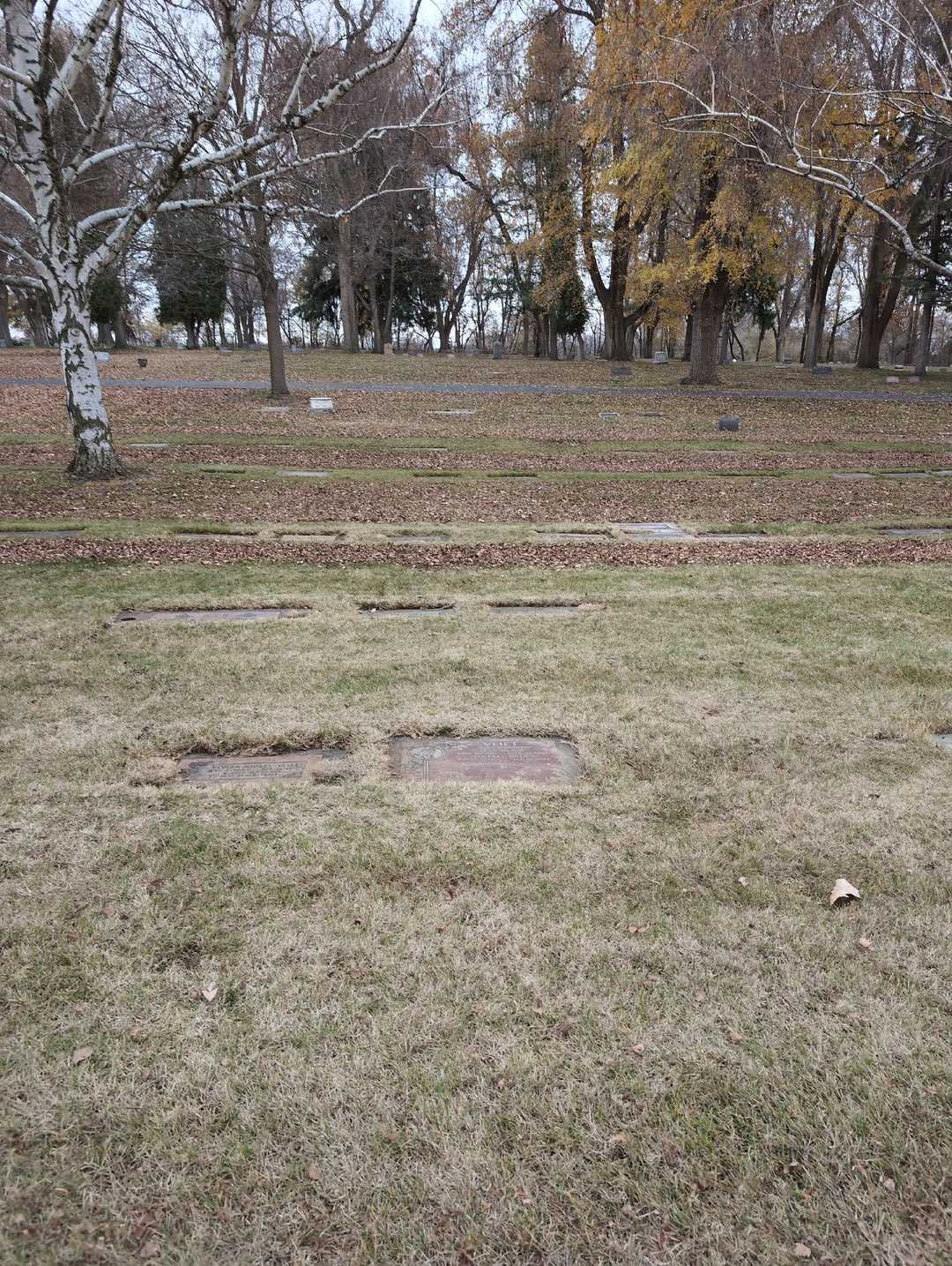 Darrell Bruce Vliet's grave. Photo 4