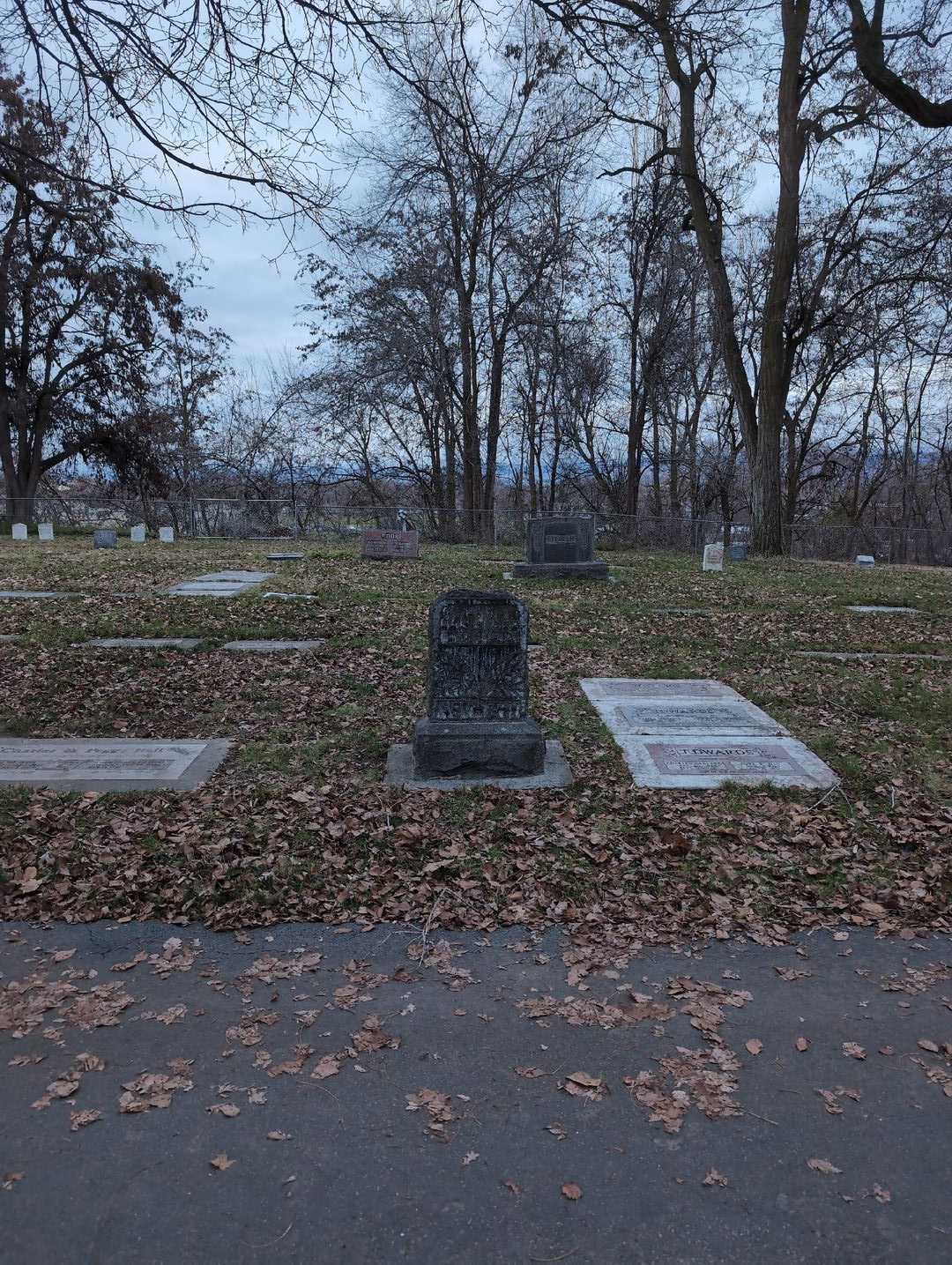 Ida A. Nethery's grave. Photo 2