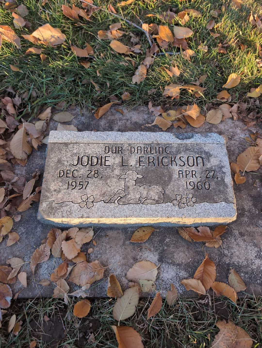 Jodie L. Erickson's grave. Photo 3