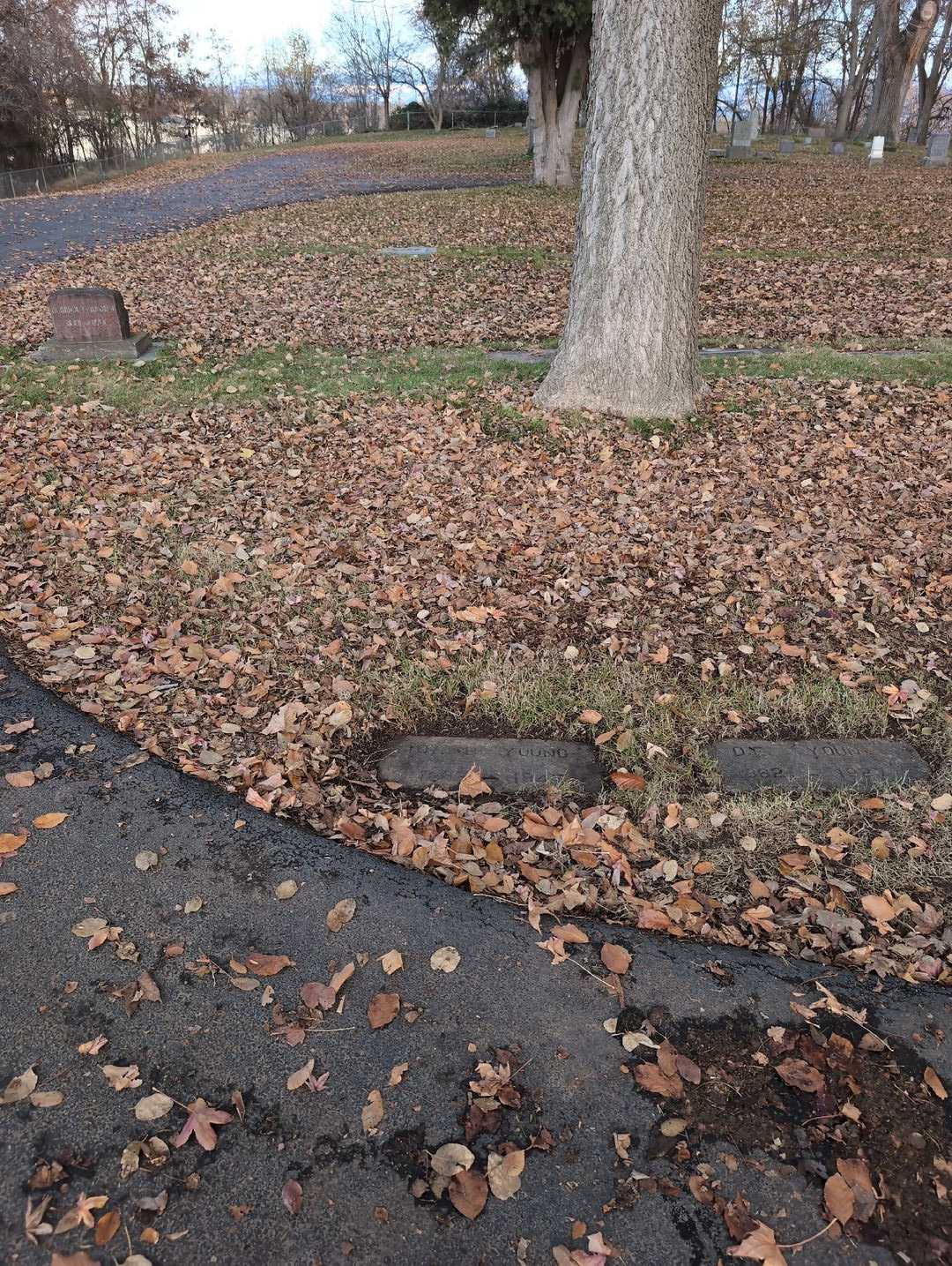 Ida May B. Young's grave. Photo 2