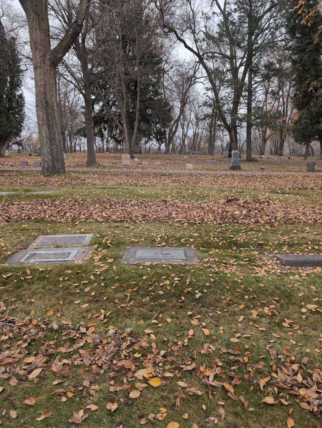 Roy Samuel Faubion's grave. Photo 2