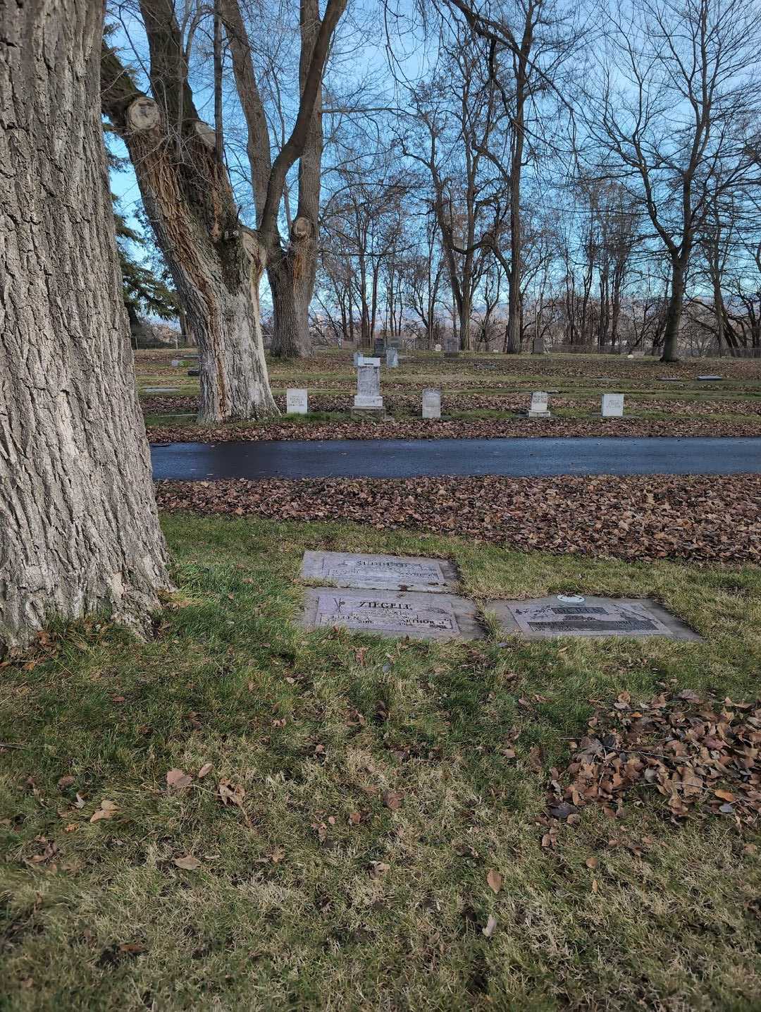 Ellen A. Ziegele's grave. Photo 4