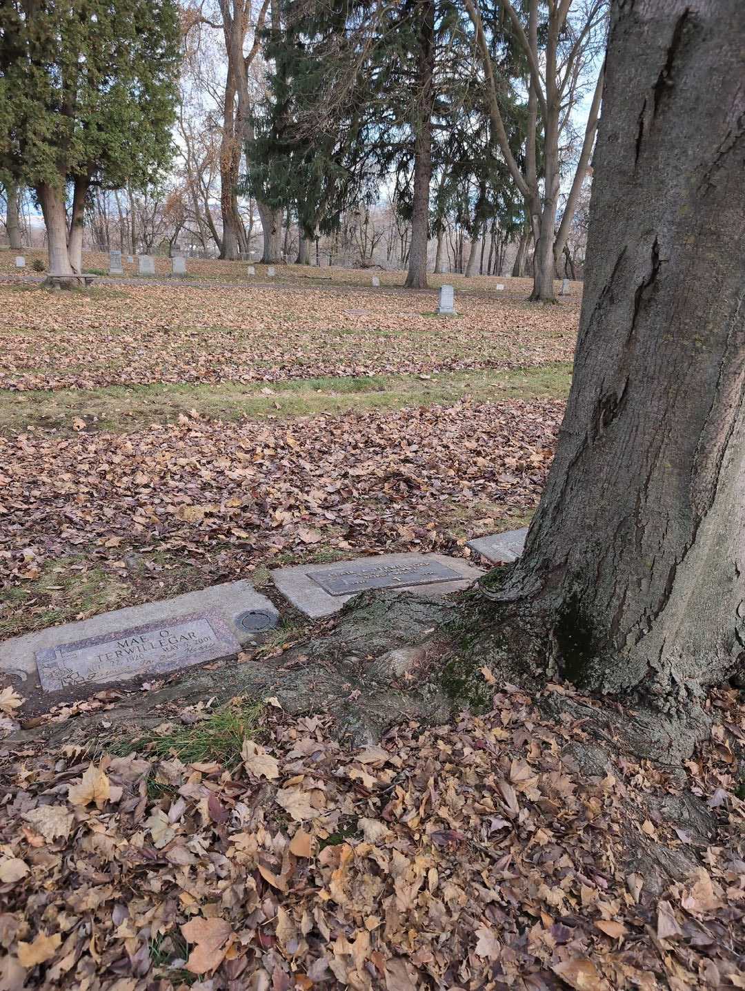 Clair A. Terwillegar's grave. Photo 2