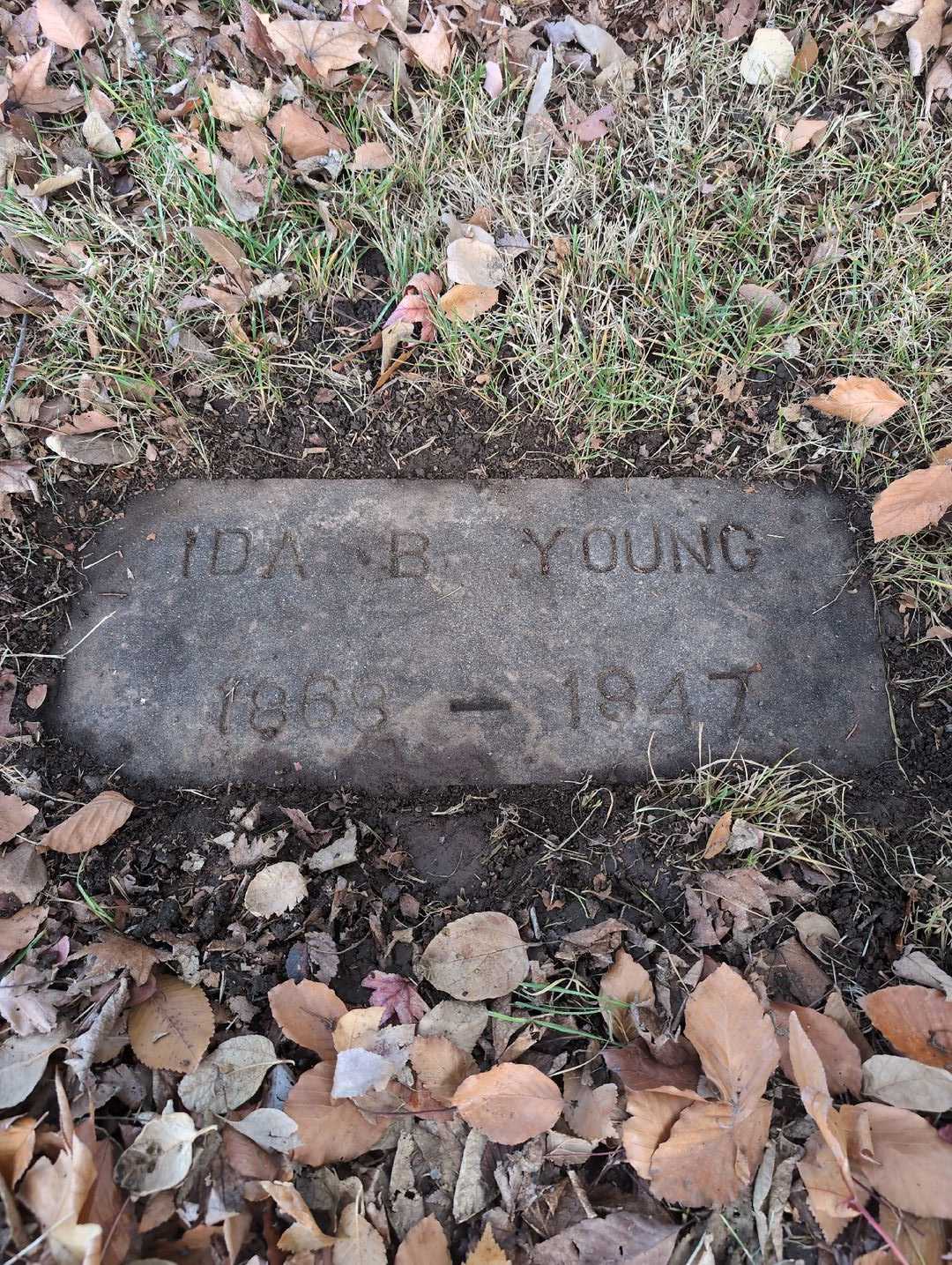 David Fredric Young's grave. Photo 1