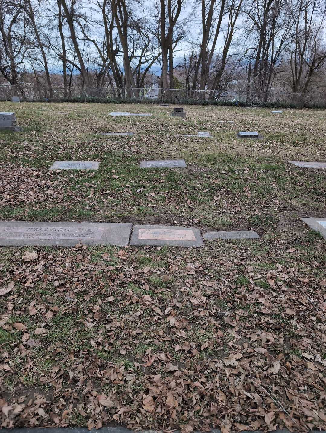 Margharite A. "Marge" Ryals's grave. Photo 2