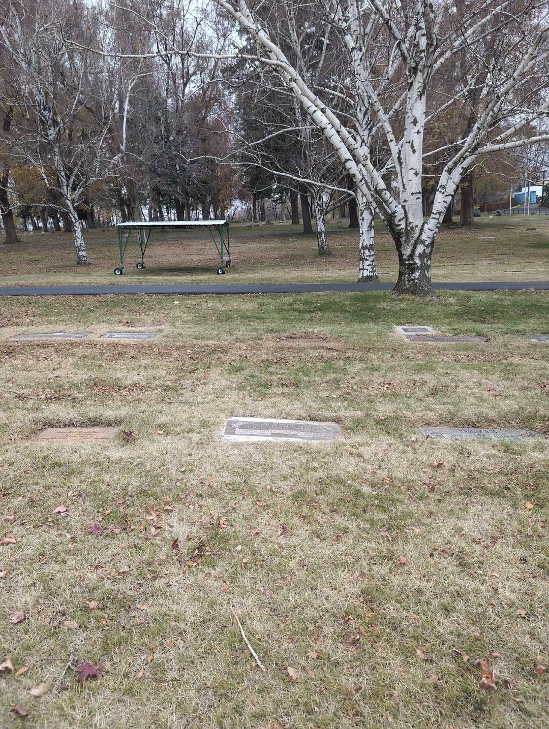 Wilbur S. James's grave. Photo 2