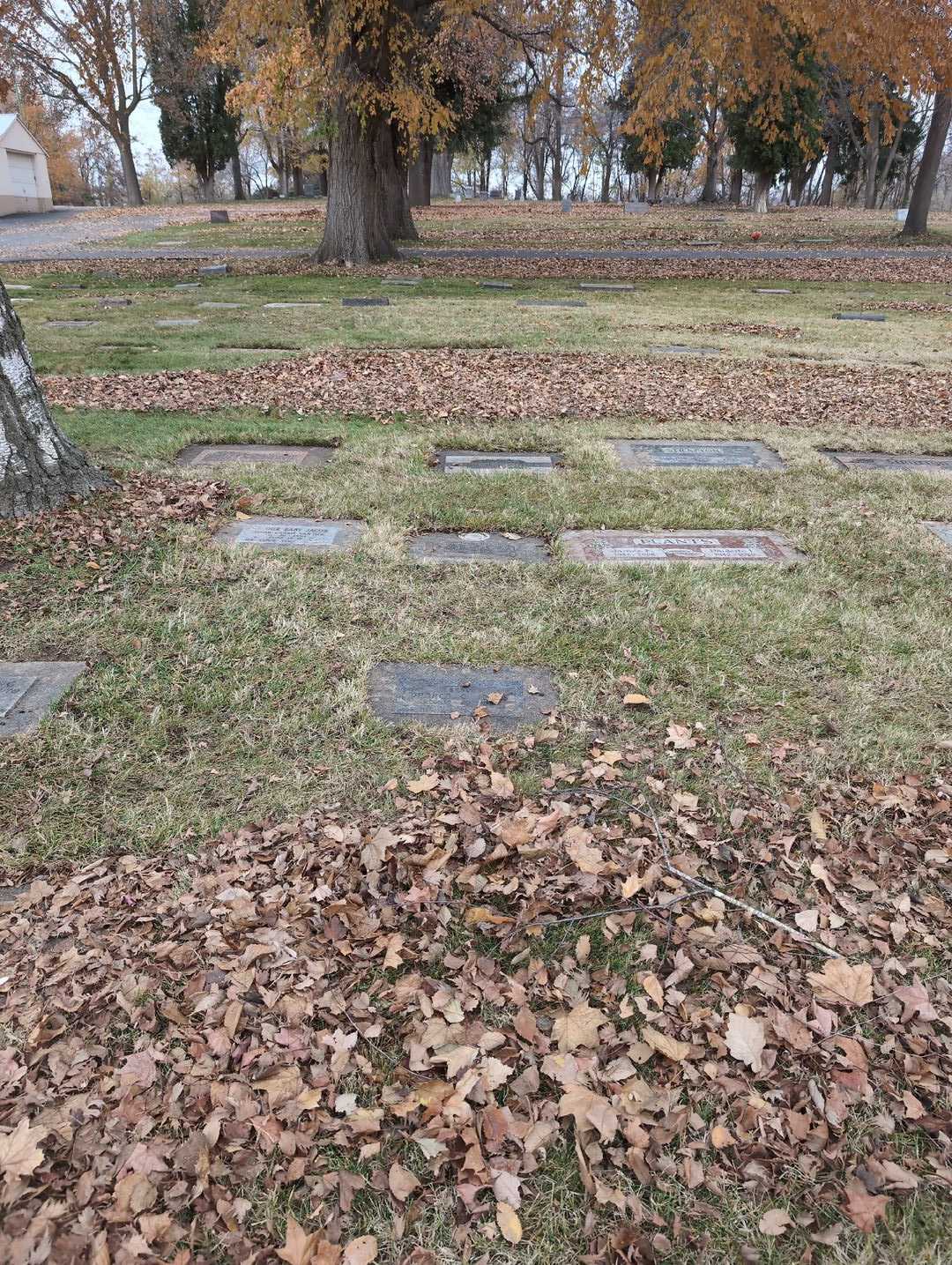 Darren G. Jones's grave. Photo 2