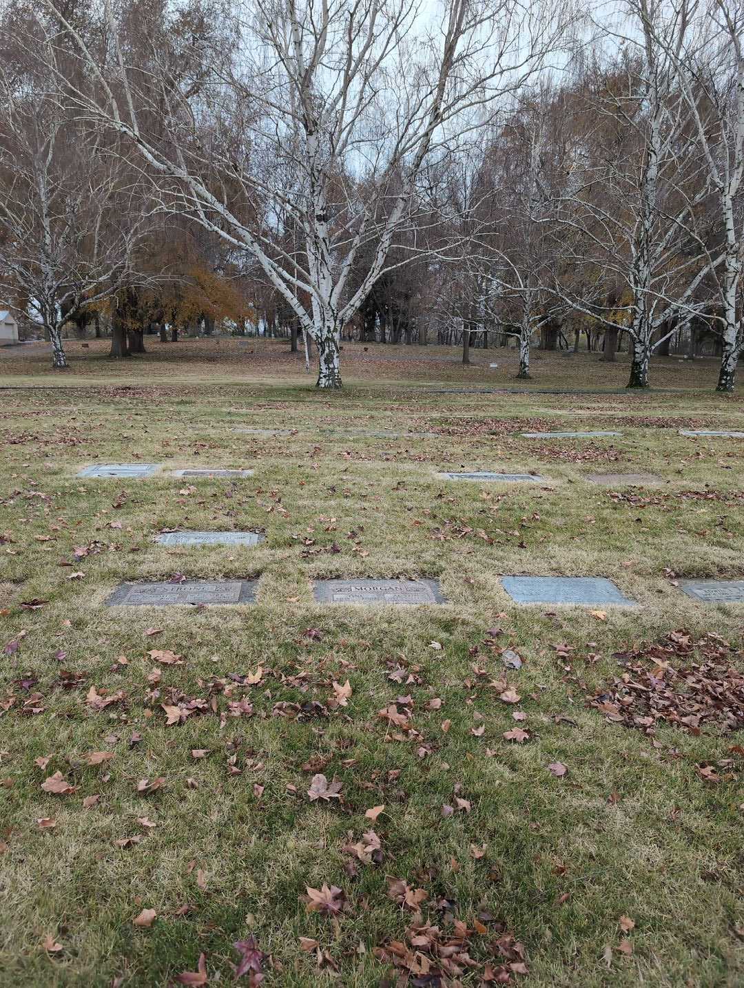 Austin Morgan's grave. Photo 2