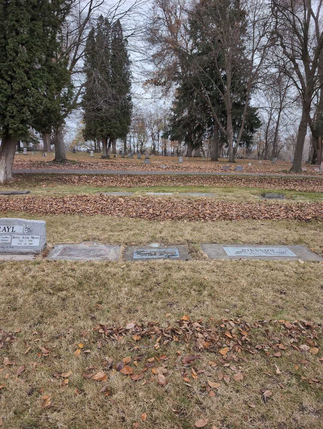 Edward S. "Eddie" Humann's grave. Photo 2