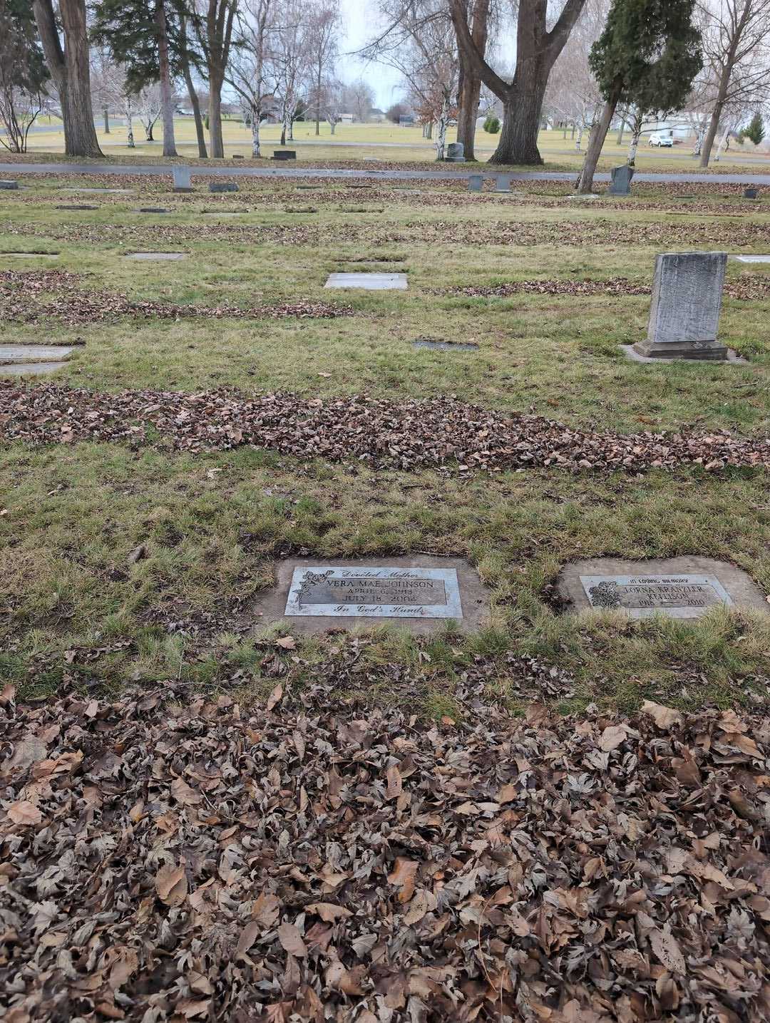 Vera Mae Johnson's grave. Photo 2