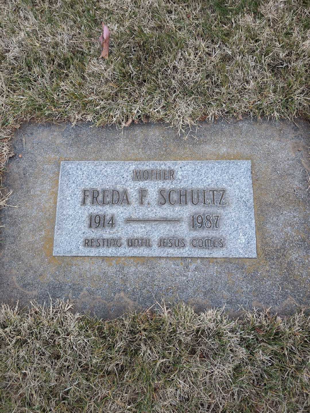 Freda F. Schultz's grave. Photo 3