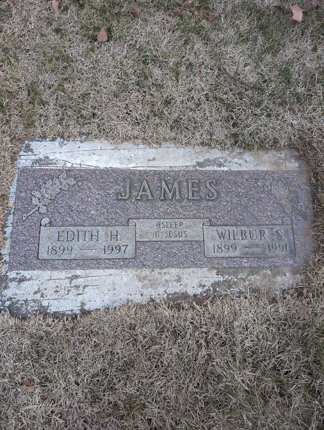 Wilbur S. James's grave. Photo 3