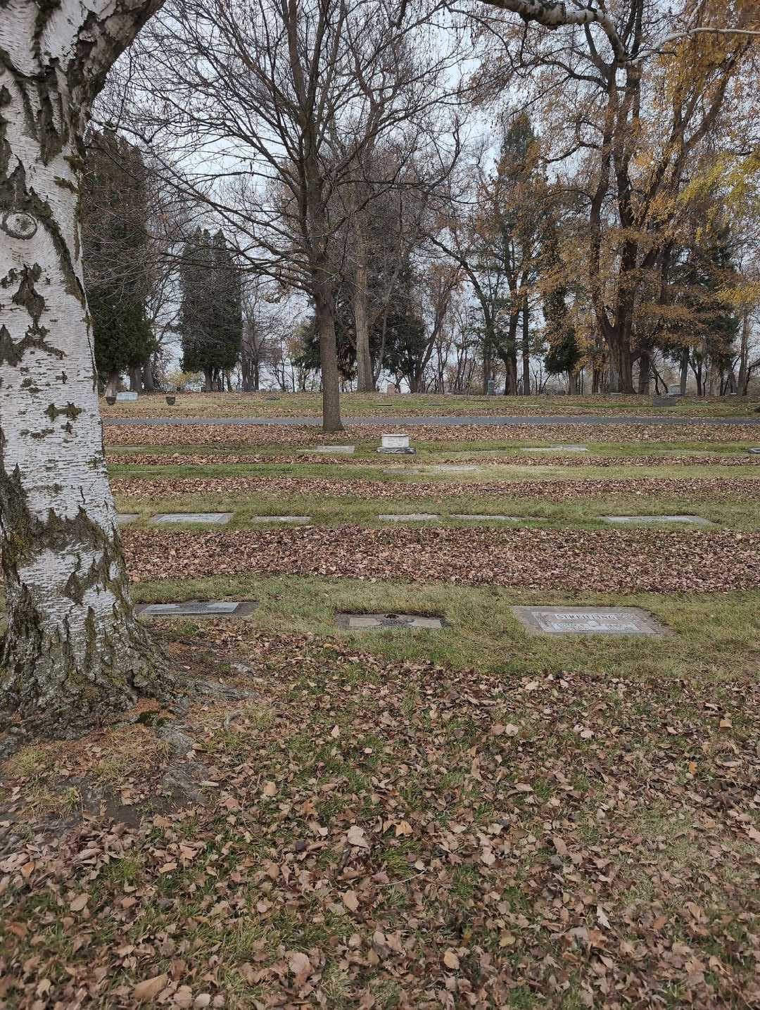 Hedvig A. Dahlquist's grave. Photo 2