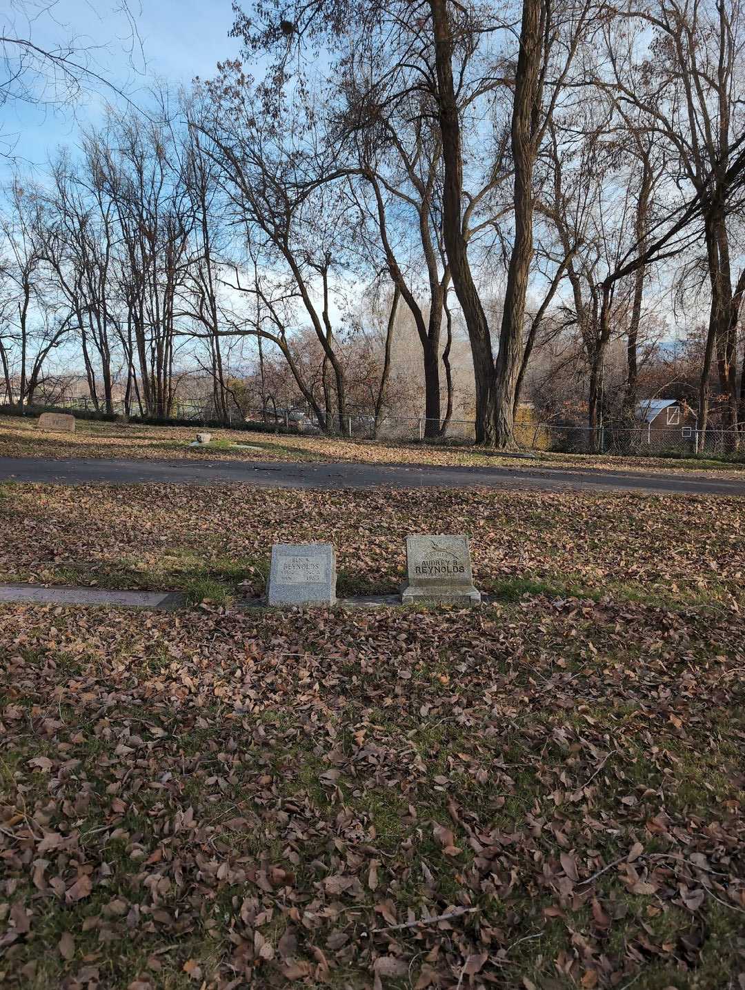 Audrey B. Dennis Reynolds's grave. Photo 2