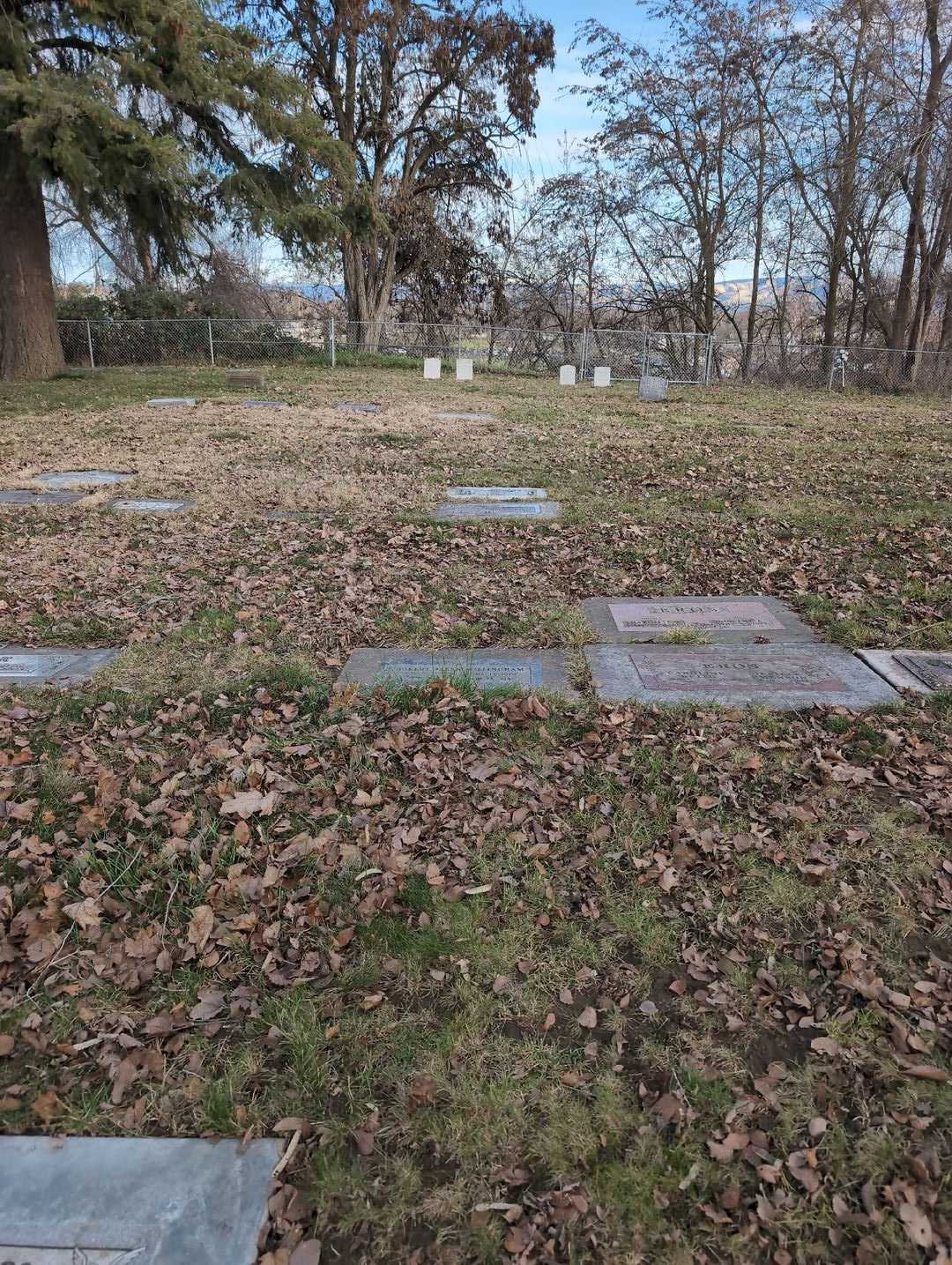 Robert Allen Willingham's grave. Photo 4